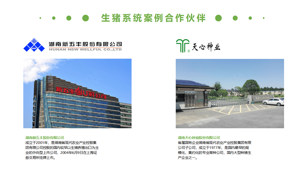 1637049115458550.png 生(shēng)豬競價解決方案_36.png