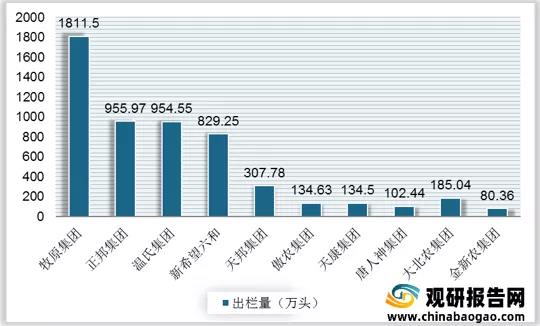 1638602213803391.jpg 生(shēng)豬競價3.jpg