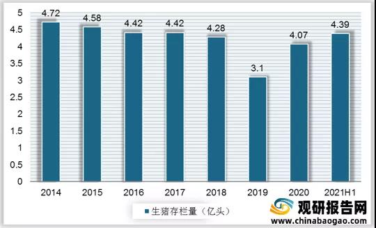 1638602249376000.jpg 生(shēng)豬競價2.jpg