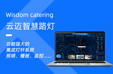 智慧路(lù)燈：物聯網+智能(néng)城市(shì)