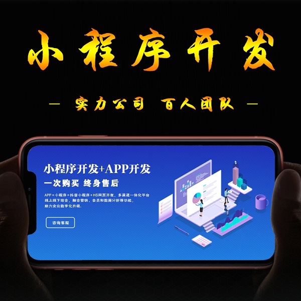 電子(zǐ)商(shāng)務(wù)行業聯盟小程序呈現(xiàn)出不同的市(shì)場(chǎng)